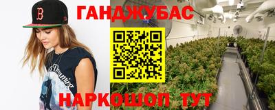 гашик Шахты