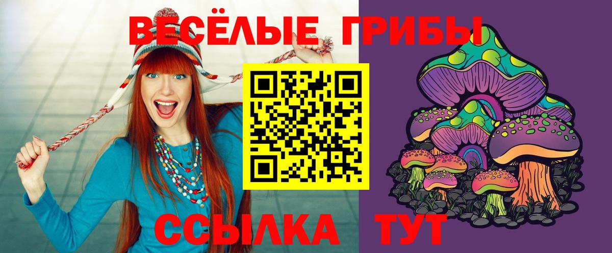 Псилоцибиновые грибы Psilocybine cubensis Гатчина